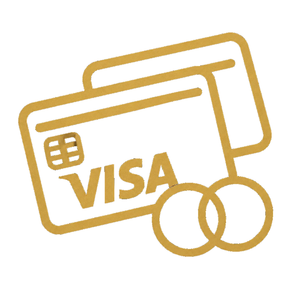 Visa icon